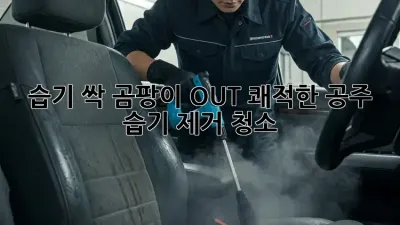 습기 싹! 곰팡이 OUT! 쾌적한 공주🏡 습기 제거 청소✨
