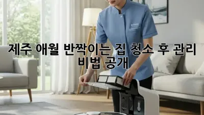 제주 애월🏡 반짝이는 집✨ 청소 후 관리 비법 공개!